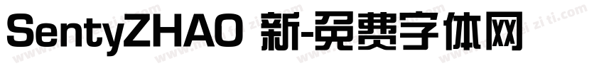 SentyZHAO 新字体转换